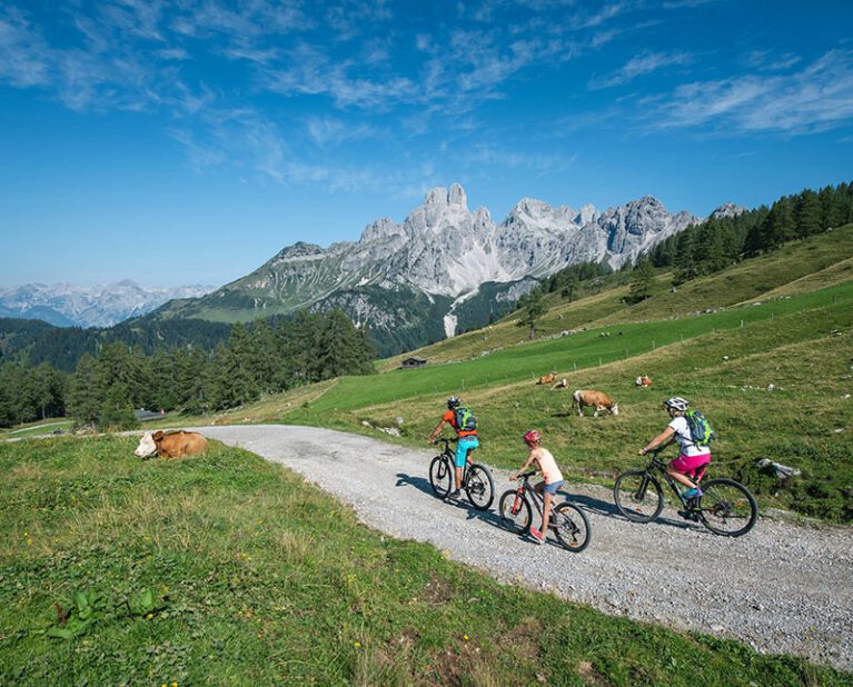 Mountainbiken - Sommerurlaub in Filzmoos, Salzburger Land