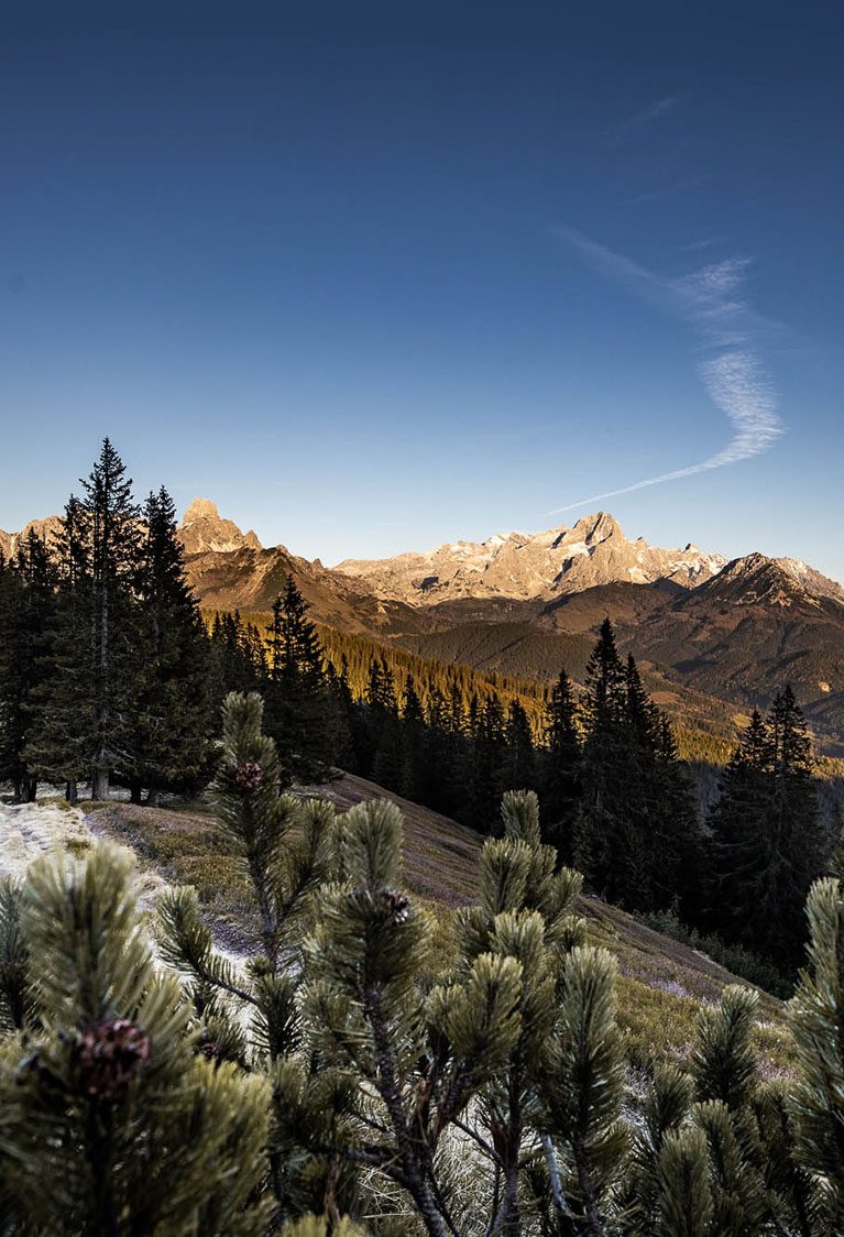 Urlaub in Filzmoos, Salzburg
